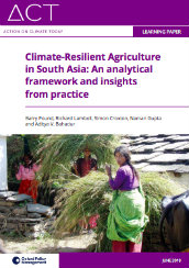 Climate-resilient agriculture in South Asia: an analytical framework and insights from practice